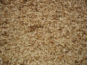 크라프트지 생산에 사용되는 나무 조각