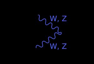 LHC에서 힉스 보손이 생성될 수 있는 한 가지 방법을 보여주는 파인만 다이어그램(Feynman diagram). 여기서, 두 개의 쿼크는 각각 W 또는 Z 보손을 방출하고, 이것들이 결합하여 중성 힉스를 만든다.