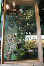 휴스턴 자연과학 박물관