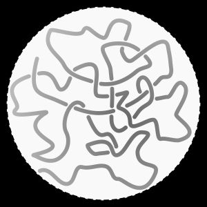 무작위로 배향된 고분자