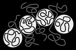 여러 고분자의 얽힘