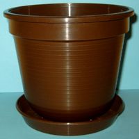 플라스틱 재질의 화분과 받침