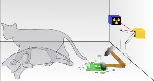 슈뢰딩거의 고양이