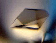 현미경으로 본 단백질 결정. X선 결정학에 사용되는 결정은 1밀리미터보다 작을 수 있다.