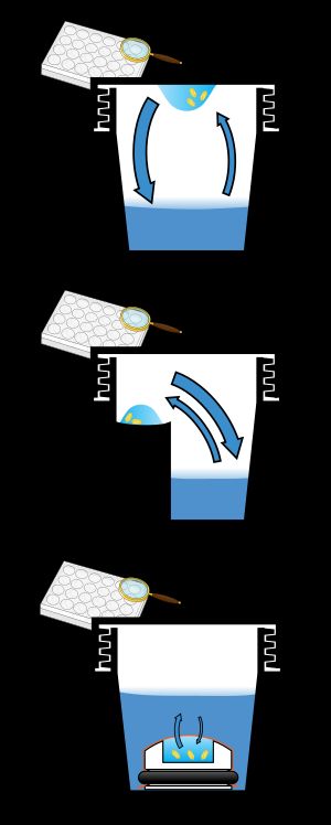 결정 준비 방법 세 가지, A: 매달린 방울. B: 놓인 방울. C: 마이크로투석