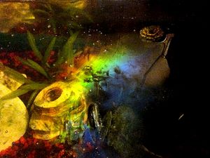 어항 표면의 생물막은 박테리아의 크기와 간격이 고르면 회절격자 효과를 생성하는데, 이는 케틀레 원(Quetelet rings)의 한 예이다.