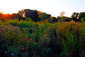 플로리다 애비뉴 인근에 위치한 대학의 연구 프레리