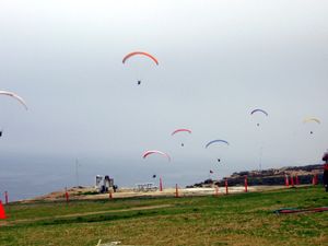 토리파인스 글라이더포트(Torrey Pines Gliderport) 상공의 패러글라이딩