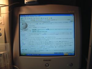 개인용 브라운관 디스플레이