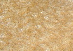 머스트(포도즙) 속 기포의 형태로 발효 과정에서 이산화탄소 활동이 나타난다.