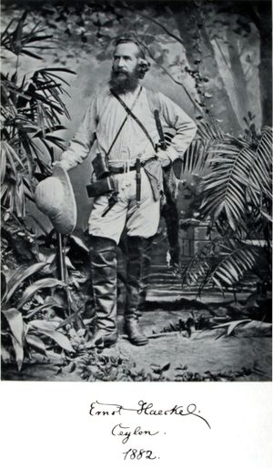 1882년 실론(스리랑카)의 헤켈