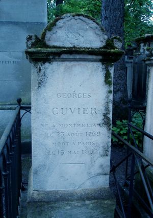 파리 페르 라셰즈 묘지(Père Lachaise Cemetery)에 있는 퀴비에의 묘