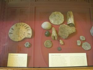 윌리엄 스미스의 화석 컬렉션(오른쪽). 최초의 지질도를 제작하는 데 기여했으며, 현재 영국 박물관에 전시되어 있다.