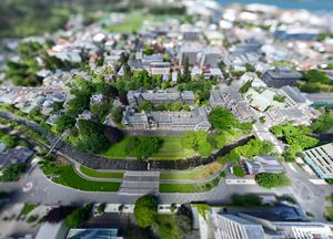 더니든 오타고 대학교 상공 항공 사진. 2024년