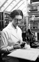 앨리스 코핑(Alice Copping)