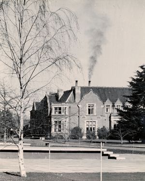 1968년 아이비 홀