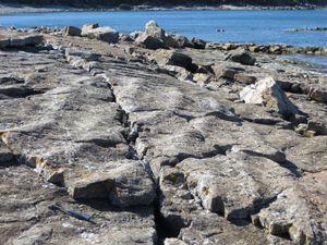 뉴펀들랜드(섬)의 랜덤 지층에 있는 조석 거대연흔(Tidal megaripples)