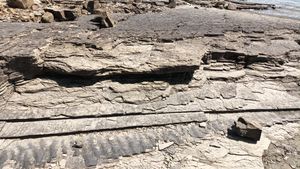 중생대 백악기 경상 누층군 하산동층과 연흔 구조, 하동군 진교면 양포리