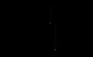 호일 상태와 가능한 붕괴 경로