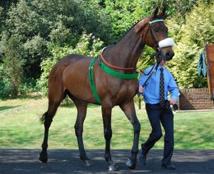 발라브리그스(Ballabriggs), 2011 그랜드 내셔널(2011 Grand National) 우승마