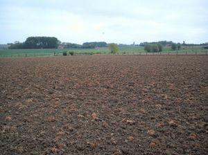 2015년 봄 캐나다 군단이 진격했던 파스샹달 근처 지형