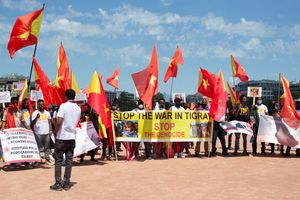2021년 6월 티그라이 전쟁의 전쟁범죄에 대한 항의 시위
