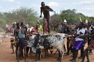 하마르족(Hamar people)은 소뛰기(bull jumping) 풍습으로 알려져 있으며, 이는 소년을 성인으로 인정하는 의례이다.