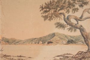 1860년대경 우즈 부인이 그린 파이히아 수채화