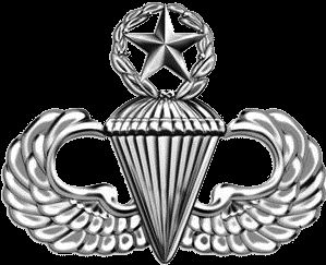 최고 강하 배지