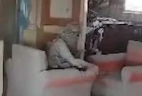 사망 직전의 신와르