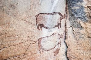 초디로(Tsodilo)의 '두 코뿔소' 그림, 유네스코 세계유산