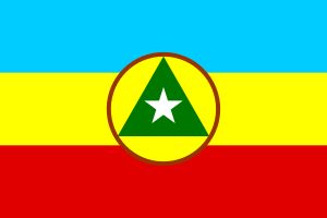 FLEC이 제안한 구 깃발