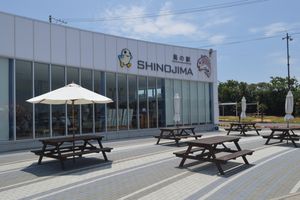 섬의 역 시노지마