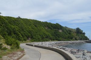 하즈 신사의 사총