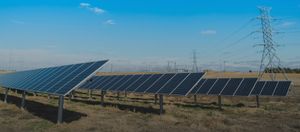 목초지 위 태양광 발전 시설