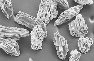 화산재의 전자현미경 사진