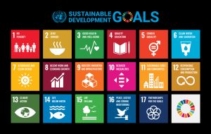 유엔 지속가능발전목표