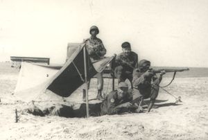 브라질 육군 UN 파견군 병사들 시나이 반도