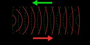 반향정위를 이용하여 먹이를 사냥하는 박쥐