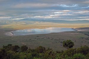 마가디 호수(Lake Magadi)