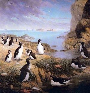 케울만스(Keulemans)가 그린 어린 새와 알이 있는 둥지