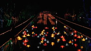 봄철 바산트 축제 기간의 라호르 운하