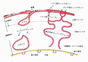 플룸 테크토닉스와 하와이형 및 타히티형 열점