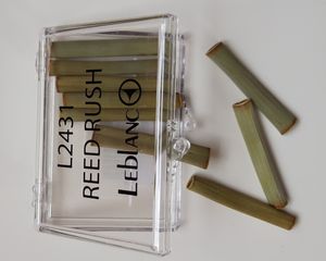 말린 속새 줄기를 사용하여 클라리넷 리드를 다듬는 모습.