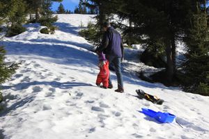 어른과 아이가 작은 플라스틱 썰매를 각각 끌고 언덕을 오르고 있다