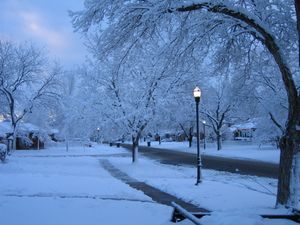 솔트레이크시티 로즈파크의 눈