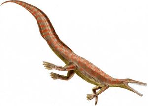 메소사우루스과