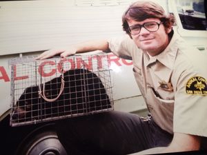 샌디에이고 카운티 동물 관리 담당관 톰 반 와그너가 샌디에이고 동물원에서 탈출한 태즈메이니아데빌을 포획한 모습, 1977년