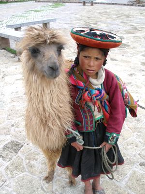쿠스코(Cusco), 페루(Peru)의 전통 의상을 입은 케추아(Quechuas) 소녀와 라마