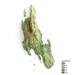 웅구자 섬의 표고